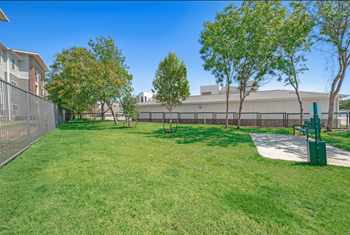 A sunny day at the park with a green lawn and trees.